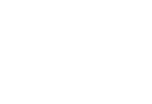 CAD Surveys Logo